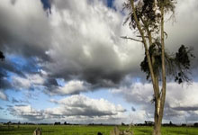 凯恩：为打进在英格兰队的第70球而自豪；祝贺斯凯利首秀破门.