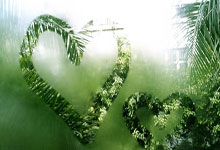 CBA最后一轮谁敢下棋？粤鲁或联手做掉辽宁：卫冕冠军第7打上海？.