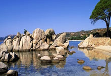 亚冬会见证中国冰雪运动加速发展人民日报海外.